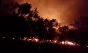 A imagem mostra um incêndio florestal à noite, com chamas intensas iluminando o céu e as silhuetas de árvores ao redor. O fundo é dominado por uma coloração laranja e vermelha, indicando a presença do fogo.