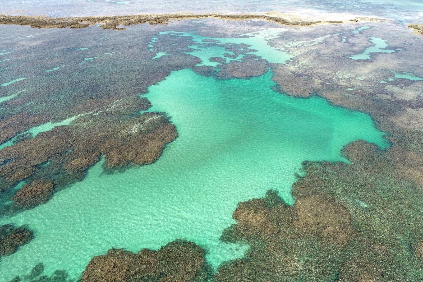 Oceanos foram verdes no passado e podem mudar de cor - 19/04/2025 - Ciência