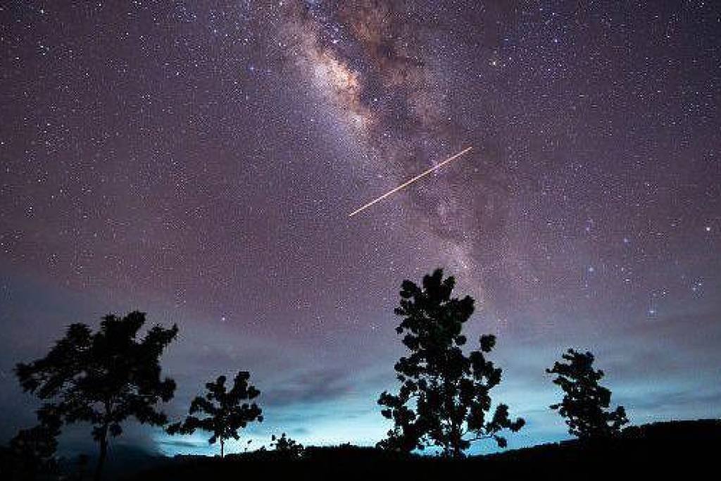 A imagem mostra um céu noturno repleto de estrelas, com a Via Láctea visível em uma faixa brilhante. No primeiro plano, há silhuetas de árvores escuras contra o céu iluminado. Uma estrela cadente é visível, traçando uma linha no céu.