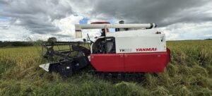 O setor agroalimentar é formado por agricultura, agroindústria e serviços, e contribui com aproximadamente 22% do PIB brasileiro