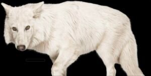 Engenharia genética