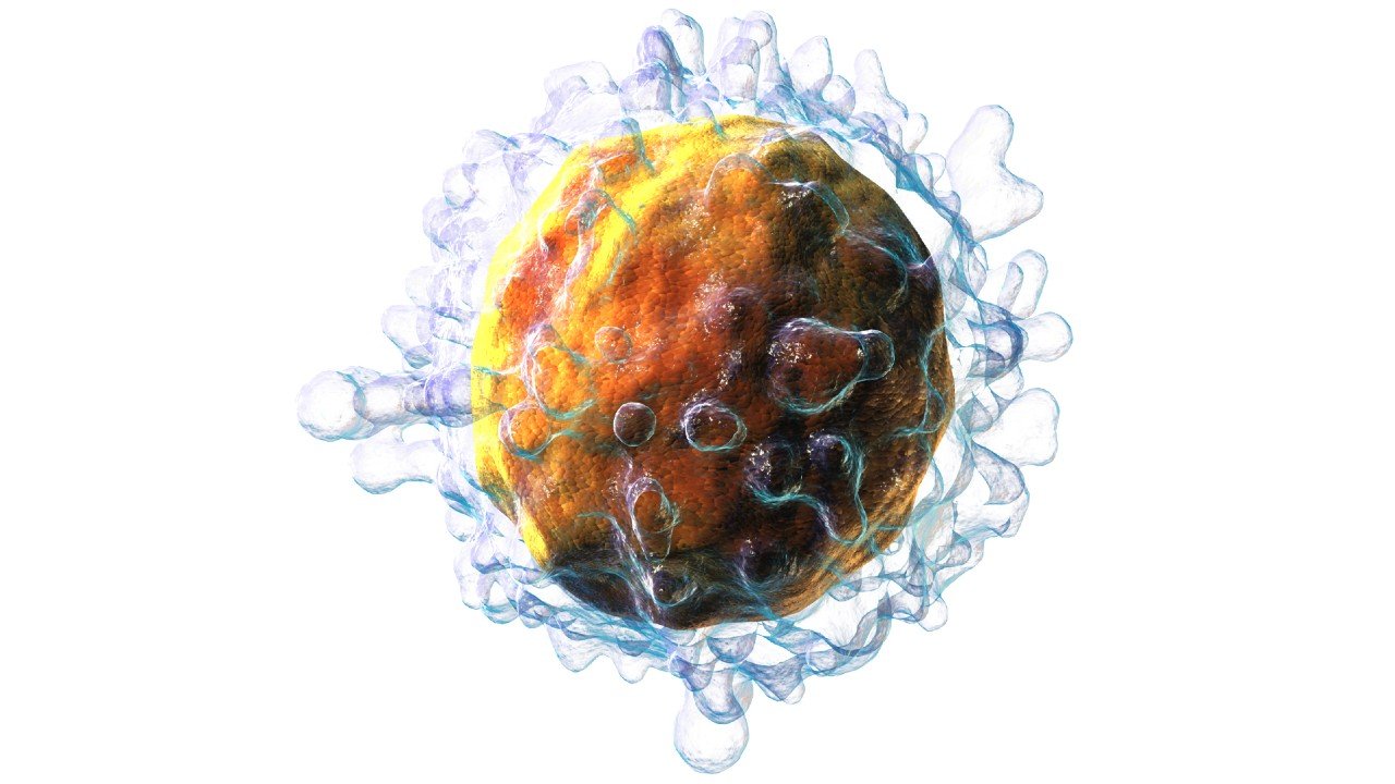 Modificação torna ainda mais potente imunoterapia usada contra câncer no sangue