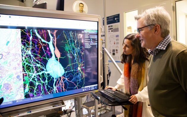 Leila Elabbady e Clay Reid olhando para a tela do computador com mapas cerebrais exibidos