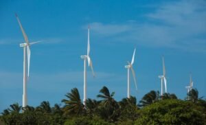 No Ceará, Banco Mundial apoia capacitação para setor de energias renováveis