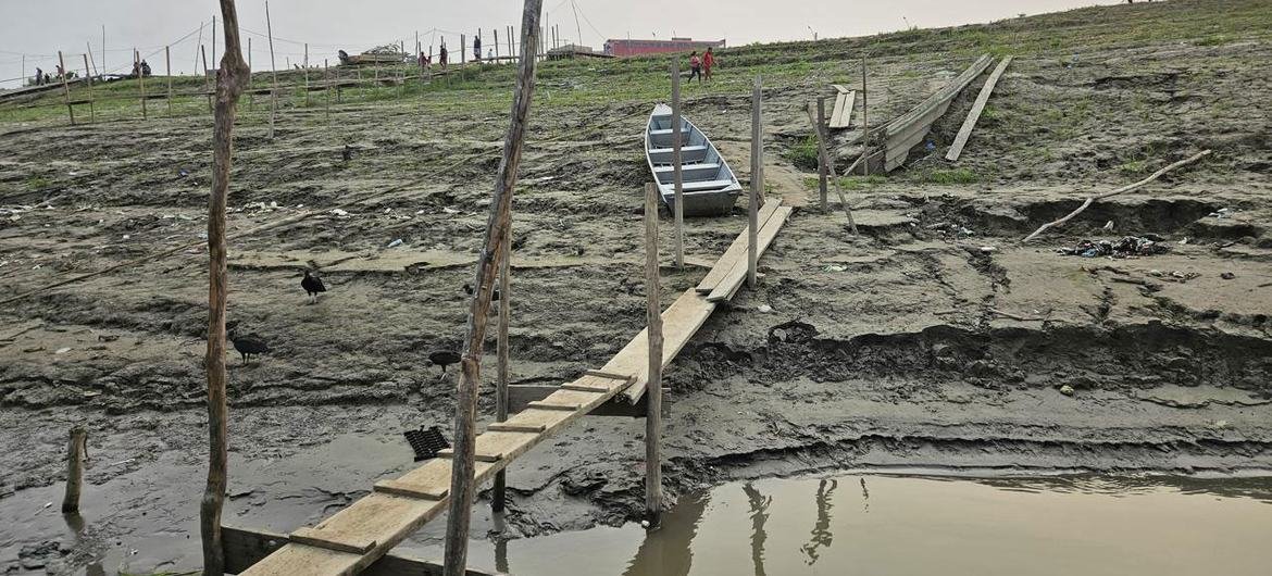 Os estados brasileiros que mais reportam a doença são Espírito Santo e Rio de Janeiro