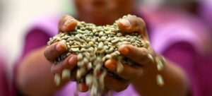 Relatório recomenda mobilização de investimentos e reforço de capacidades produtivas,