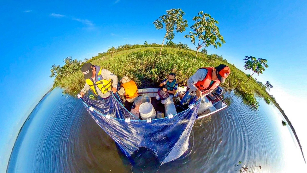 Perda de áreas naturais e introdução de espécies exóticas reduzem rendimento da pesca no rio Paraná