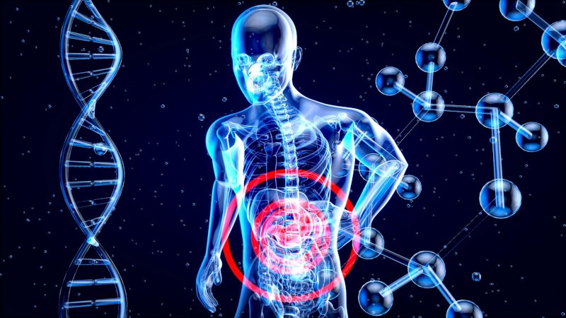 Metabólitos produzidos no intestino têm papel central no controle de obesidade e diabetes