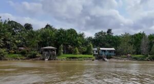 COP30 ocorreu no coração da Amazônia