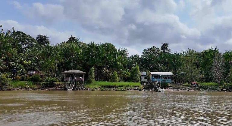 COP30 ocorreu no coração da Amazônia