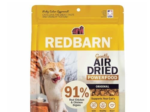 Como fazer seu gato ou cachorro perder peso - especialistas avaliam (2025)