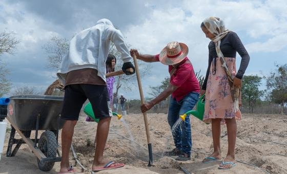 Desastres naturais custaram US$ 3,26 trilhões à agricultura global em três décadas, diz FAO