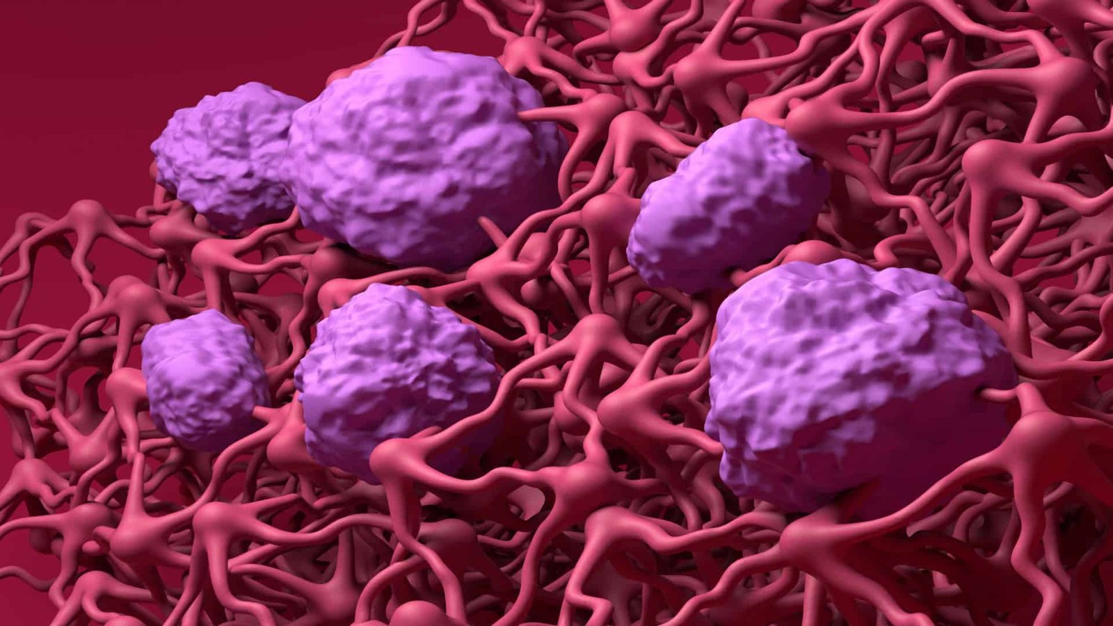 Ilustração 3D de barreira hematoencefálica (BHE) no cérebro humano