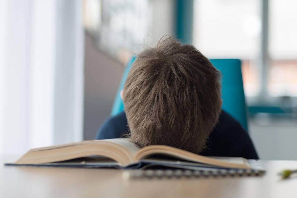Pessoa com cabelo castanho claro apoia a cabeça sobre um livro aberto em uma mesa, em ambiente interno com luz natural.