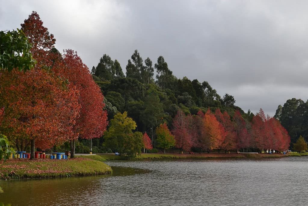 A cidade considerada a "mais linda do Rio Grande do Sul" apaixona turistas o ano inteiro