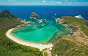 Tubarão-limão é flagrado predando peixe de água doce invasor em Fernando de Noronha