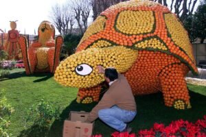 Homem agachado encaixa fruta em escultura de tartaruga construída com limões e laranjas