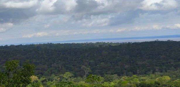 Desmatamento na Amazônia eleva em 3 °C a temperatura da superfície durante a estação seca