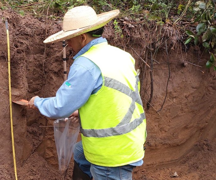 Método simplifica determinação de estoque de carbono no solo com laser e inteligência artificial