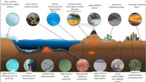 O que são animais extremófilos e como eles desafiam os limites da vida