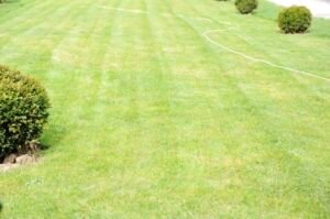 atualizações de propriedades comerciais