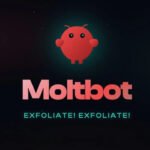 BBB de robôs e a normalização do absurdo