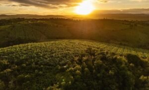 Banco Mundial apoia melhoria dos serviços sociais, de saúde e educação em Salvador