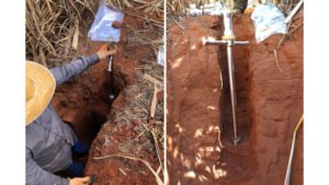 Brasil perdeu 1,4 bilhão de toneladas de carbono do solo por conversão de áreas naturais à agricultura