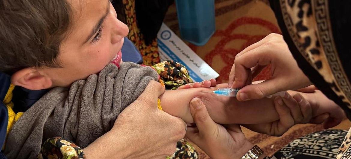 media:entermedia_image:6c31508f-3cc6-4f71-8ae4-a8859f124d2a