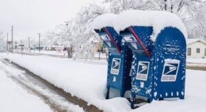 media:entermedia_image:3dfdf6ca-dcd7-4a20-b327-8e31e1a31cc5