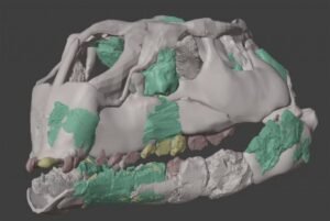 Nova (e minúscula) espécie remodela a árvore genealógica dos dinossauros  