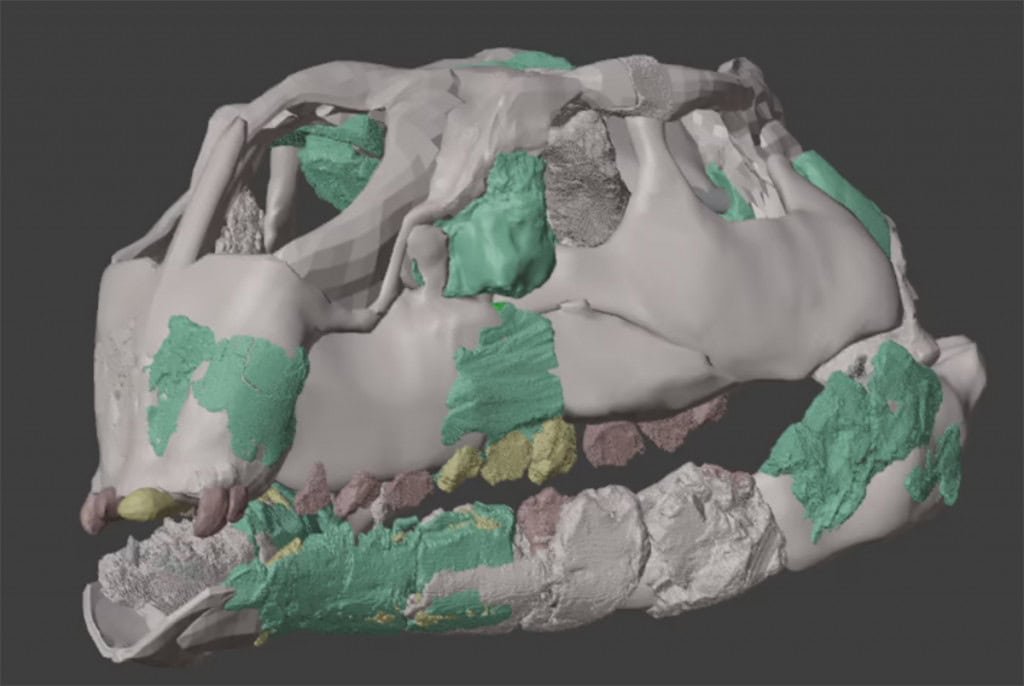Nova (e minúscula) espécie remodela a árvore genealógica dos dinossauros  