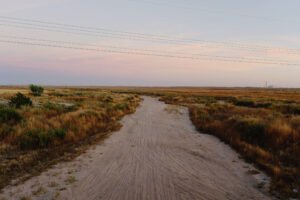 Caminho de areia atravessa vegetação rasteira e arbustos baixos em terreno plano. Céu claro com tons rosados ao fundo e linhas de energia elétrica visíveis no horizonte.