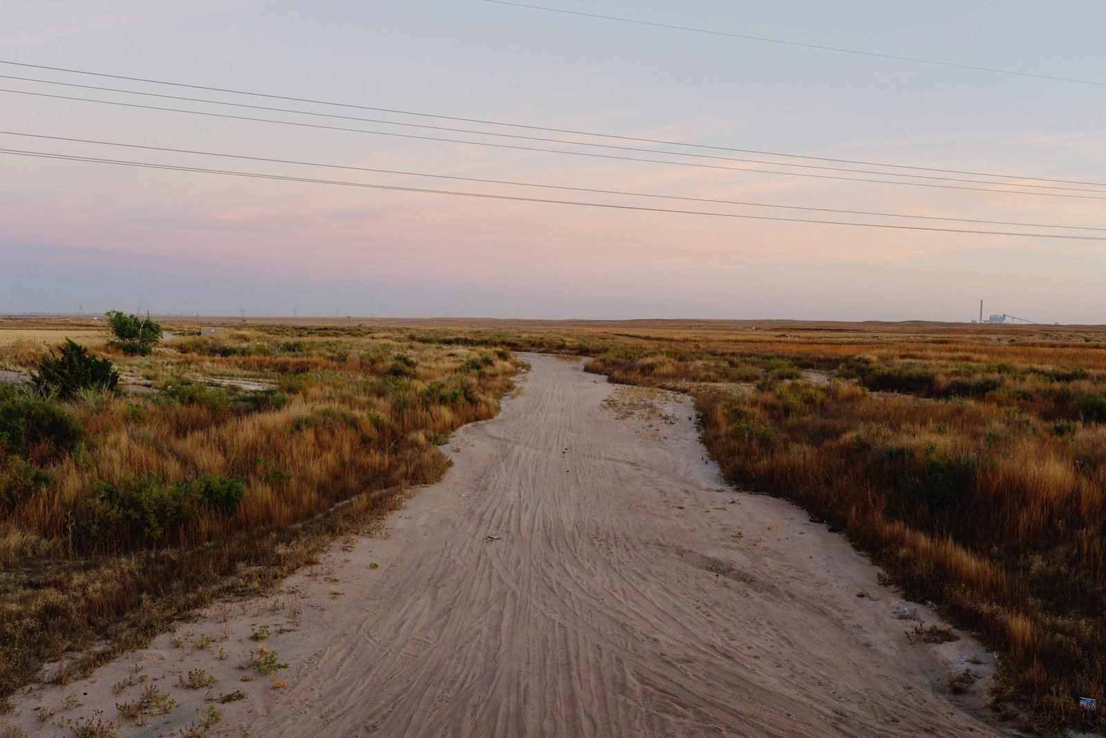 Cientistas se unem e lançam relatório cancelado por Trump – 09/03/2026 – Ambiente