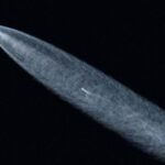 SpaceX quer pôr 1 milhão de satélites na órbita da Terra - 15/03/2026 - Ciência