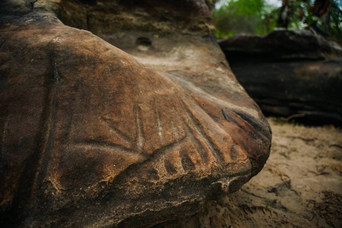 Grupo busca proteger gravuras rupestre no sertão do Piauí – 31/03/2026 – Ciência