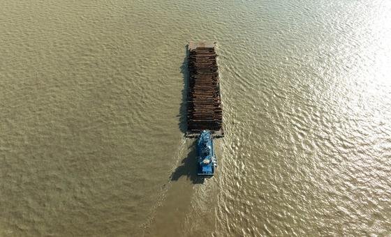 Banco Mundial aprova projeto para expandir energia renovável e empregos na Amazônia