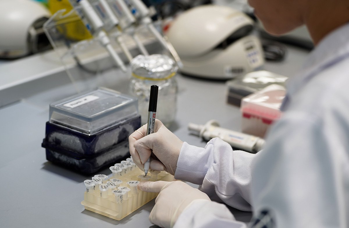 Chamada Projeto Inicial da FAPESP divulga trabalhos contemplados