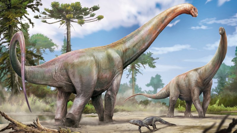 Novo dinossauro pescoçudo encontrado no Maranhão era parente próximo de espécie europeia