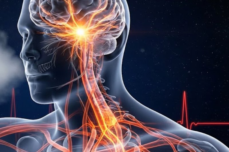 Pesquisa mostra que alterações na respiração podem estar ligadas à hipertensão