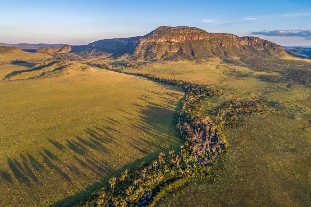 Pesquisa mostra que áreas úmidas do Cerrado armazenam mais carbono do que florestas na Amazônia