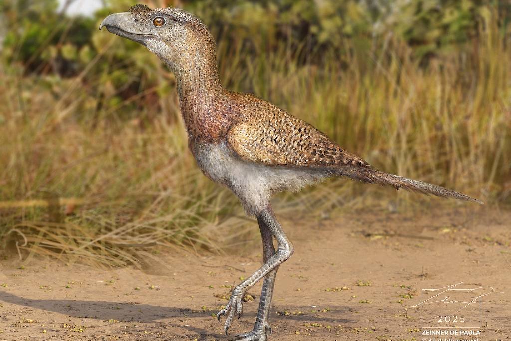 Paleontólogos acham espécie mais nova de ‘aves do terror’ – 21/04/2026 – Ciência