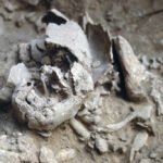 foto do fóssil Amud 7 em seu local original, mostrando ossos parcialmente expostos em sedimento.