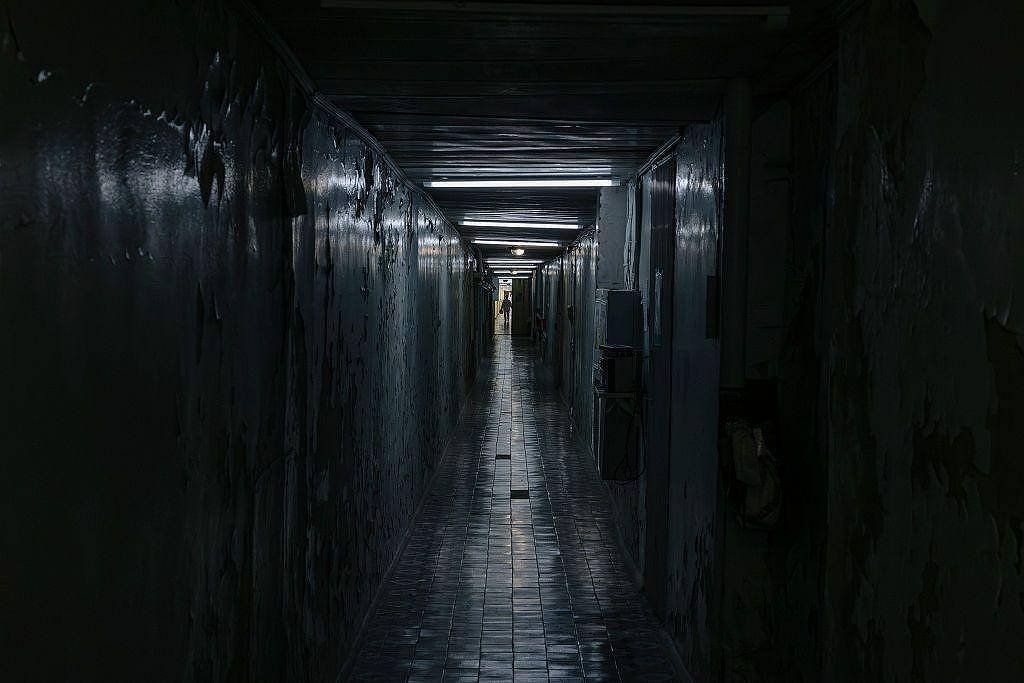 Cientista percorre o labirinto radioativo de Tchernóbil – 28/04/2026 – Ciência