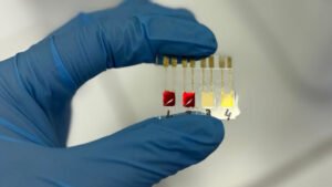 Biossensor identifica câncer de pâncreas em estágios iniciais