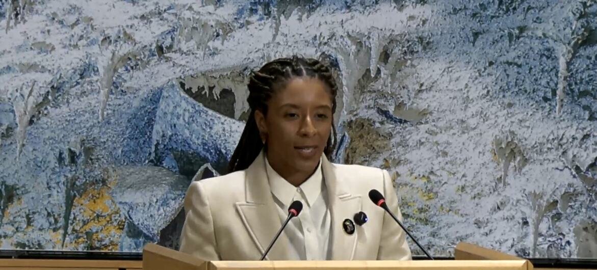 Na ONU, Brasil diz que crises afetam desproporcionalmente população negra