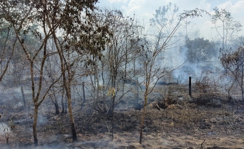 Secas mais longas e mudanças nas chuvas já ocorrem na Amazônia, apontam pesquisas