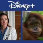 imagens de filmes que estreiam no disney+