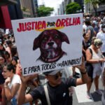 Pessoa segura placa com desenho de cachorro e texto