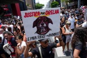 Pessoa segura placa com desenho de cachorro e texto